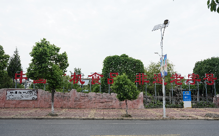 當(dāng)定制葛粉時，我們真正在選擇什么？