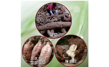 買葛粉是買野生的好？還是野生有機(jī)的好？